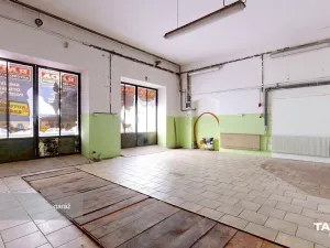 Prodej rodinného domu, Tachov, Plzeňská, 591 m2