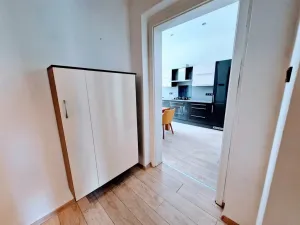 Pronájem bytu 2+1, Ústí nad Labem - Ústí nad Labem-centrum, Palachova, 62 m2