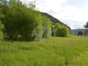 Prodej pozemku pro bydlení, Hanušovice - Potůčník, 1000 m2
