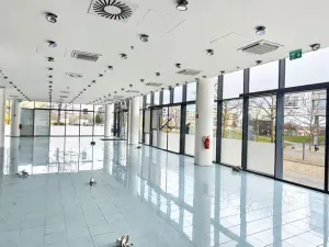 Pronájem obchodního prostoru, Praha, Siemensova, 262 m2