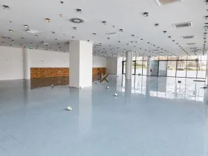 Pronájem obchodního prostoru, Praha, Siemensova, 262 m2