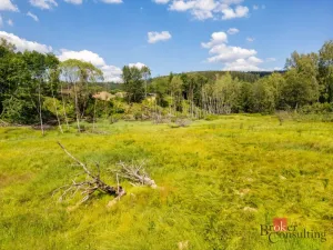 Prodej pozemku pro bydlení, Železná Ruda, Sklářská, 2757 m2