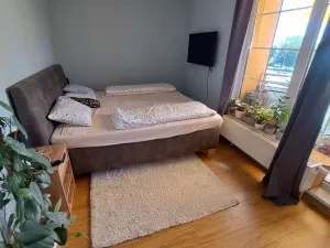 Pronájem bytu 2+1, Olomouc, Horní lán, 70 m2
