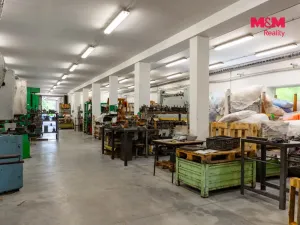 Prodej výrobních prostor, Horní Benešov - Luhy, 803 m2