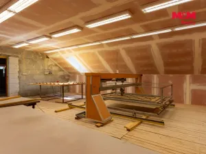 Prodej výrobních prostor, Horní Benešov - Luhy, 803 m2