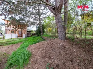 Prodej chaty, Zdiby - Přemyšlení, U Rybníka, 25 m2