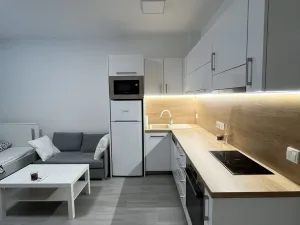 Pronájem bytu 1+kk, Olomouc, Wolkerova, 29 m2