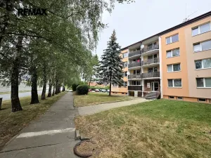 Prodej bytu 1+kk, Doloplazy, 31 m2