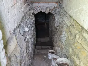Prodej rodinného domu, Rašovice, 272 m2