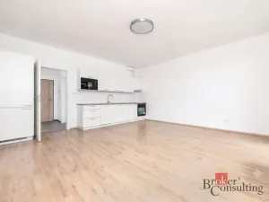 Prodej bytu 1+kk, Plzeň - Jižní Předměstí, Železná, 36 m2