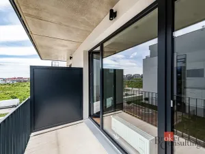 Prodej bytu 1+kk, Plzeň - Jižní Předměstí, Železná, 36 m2