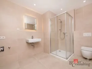 Prodej bytu 1+kk, Plzeň - Jižní Předměstí, Železná, 36 m2