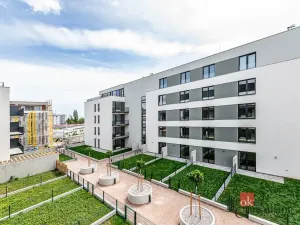Prodej bytu 1+kk, Plzeň - Jižní Předměstí, Železná, 36 m2
