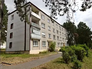 Pronájem bytu 2+1, Domažlice, Palackého, 50 m2