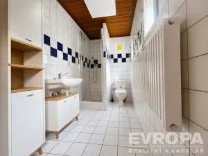 Pronájem bytu 2+kk, Dolní Branná, 40 m2