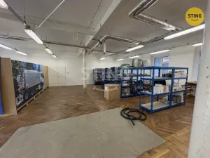 Pronájem skladu, Prostějov, Havlíčkova, 298 m2