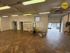 Pronájem skladu, Prostějov, Havlíčkova, 298 m2