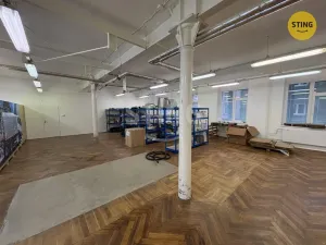Pronájem skladu, Prostějov, Havlíčkova, 298 m2