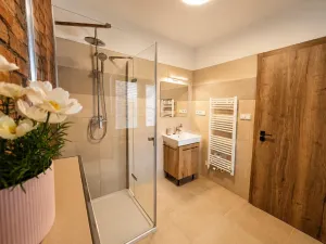 Pronájem apartmánu, Slavíkovice, 78 m2