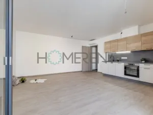 Pronájem bytu 1+kk, Praha - Nové Město, Vyšehradská, 37 m2