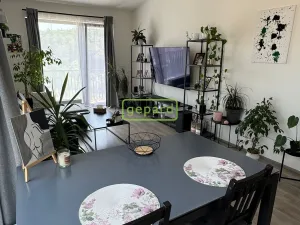 Pronájem bytu 2+kk, Slaný - Kvíček, U Benaru, 55 m2