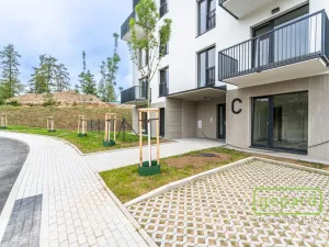 Pronájem bytu 2+kk, Slaný - Kvíček, U Benaru, 55 m2