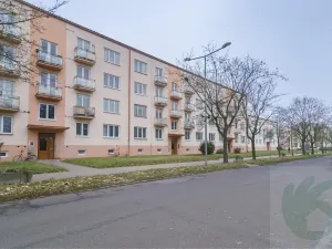 Pronájem bytu 2+1, Štětí, Školní, 53 m2
