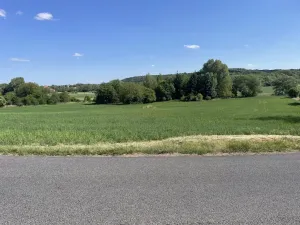 Prodej zahrady, Nová Ves, 2559 m2