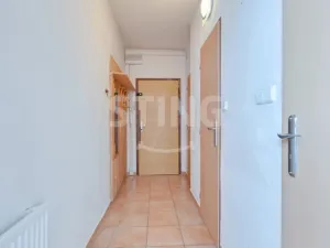 Prodej bytu 1+kk, Ostrava, Zelená, 52 m2