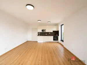 Pronájem bytu 1+kk, Plzeň - Jižní Předměstí, Železná, 37 m2