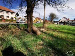 Prodej rodinného domu, Rozsochy, 372 m2