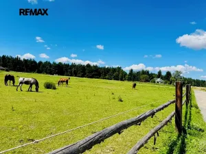 Prodej rodinného domu, Svojetice, Točitá, 149 m2