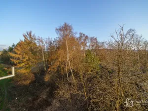 Pronájem bytu 1+1, Sokolov, Jelínkova, 38 m2