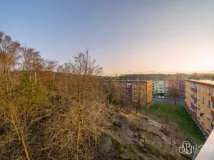 Pronájem bytu 1+1, Sokolov, Jelínkova, 38 m2