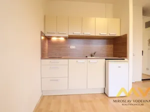 Pronájem bytu 1+kk, Hradec Králové, Dlouhá, 28 m2