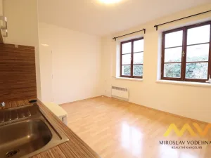 Pronájem bytu 1+kk, Hradec Králové, Dlouhá, 28 m2
