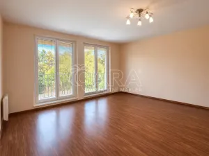 Prodej bytu 1+1, Slapy, 40 m2