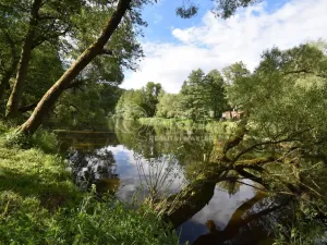 Prodej chaty, Sázava - Čeřenice, 33 m2