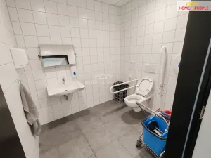 Pronájem skladu, Ostrov - Dolní Žďár, 4400 m2