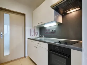 Pronájem bytu 1+kk, Jindřichův Hradec - Jindřichův Hradec III, sídliště Vajgar, 25 m2