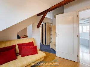 Prodej atypického bytu, Znojmo, Alšova, 310 m2