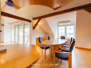 Prodej atypického bytu, Znojmo, Alšova, 310 m2