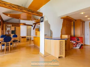 Prodej atypického bytu, Znojmo, Alšova, 310 m2