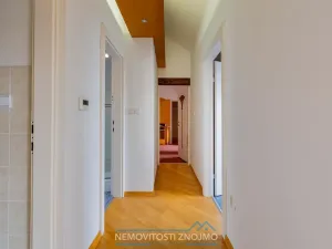 Prodej atypického bytu, Znojmo, Alšova, 310 m2