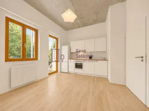 Pronájem bytu 2+kk, Jindřichův Hradec - Jindřichův Hradec III, Na Piketě, 36 m2