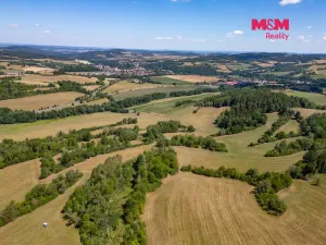 Prodej louky, Nišovice, 36981 m2