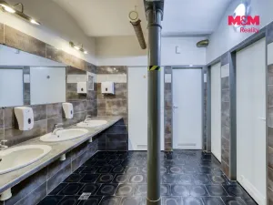 Prodej výrobních prostor, Kynšperk nad Ohří, Sokolovská, 8700 m2