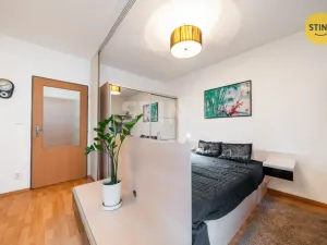 Prodej bytu 1+kk, Brno, Francouzská, 30 m2