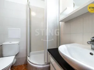 Prodej bytu 1+kk, Brno, Francouzská, 30 m2