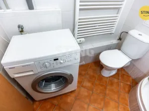 Prodej bytu 1+kk, Brno, Francouzská, 30 m2